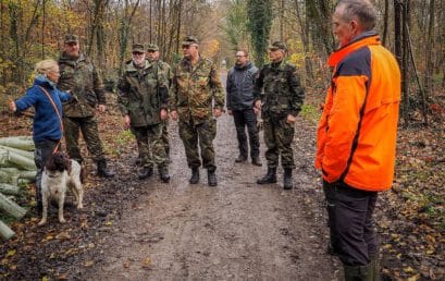 Ustg. Forstamt KA Stadt